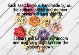 Wildflower seed bomb - If Grandads were flowers I'd pick you