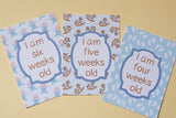 Blue Retro Premature Baby Journey Cards ®