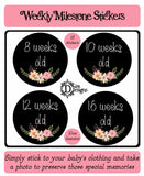 Weekly Journey Stickers - Chalkboard Floral