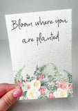 Plantable Seed Card for all occasions