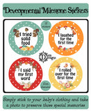 Developmental Journey Stickers - Forest Animals